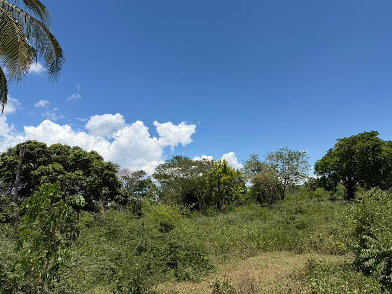 Eighth image of Chateau in May Pen, Clarendon, Jamaica - property is For Sale