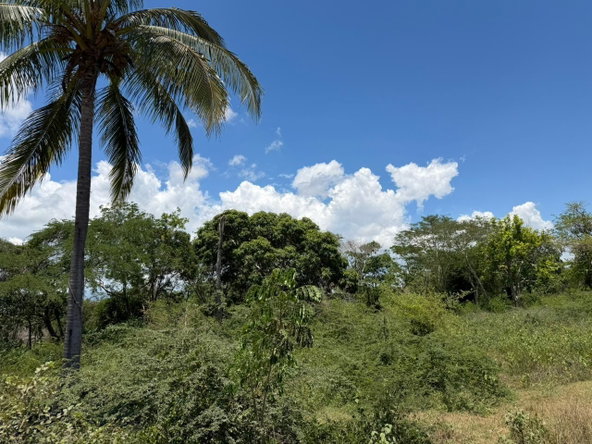 Ninth image of Chateau in May Pen, Clarendon, Jamaica - property is For Sale