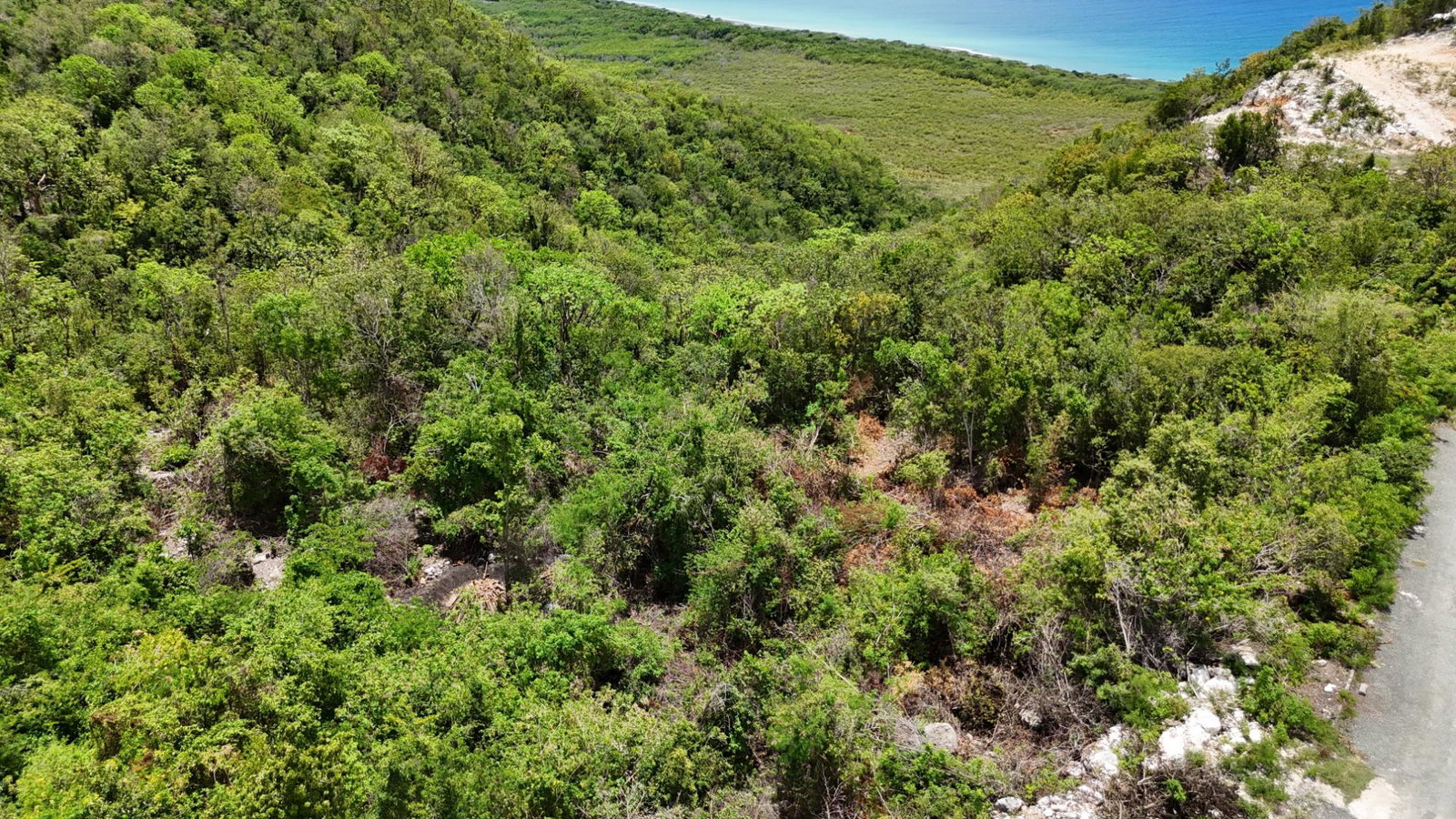 Fifteenth image of 51 d- Albion Heights in Albion, St. Thomas, Jamaica - property is For Sale