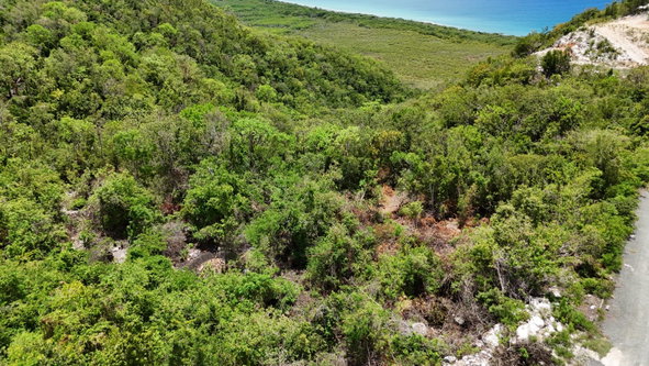 Fifteenth image of 51 d- Albion Heights in Albion, St. Thomas, Jamaica - property is For Sale