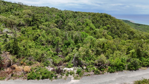 Seventeenth image of 51 d- Albion Heights in Albion, St. Thomas, Jamaica - property is For Sale