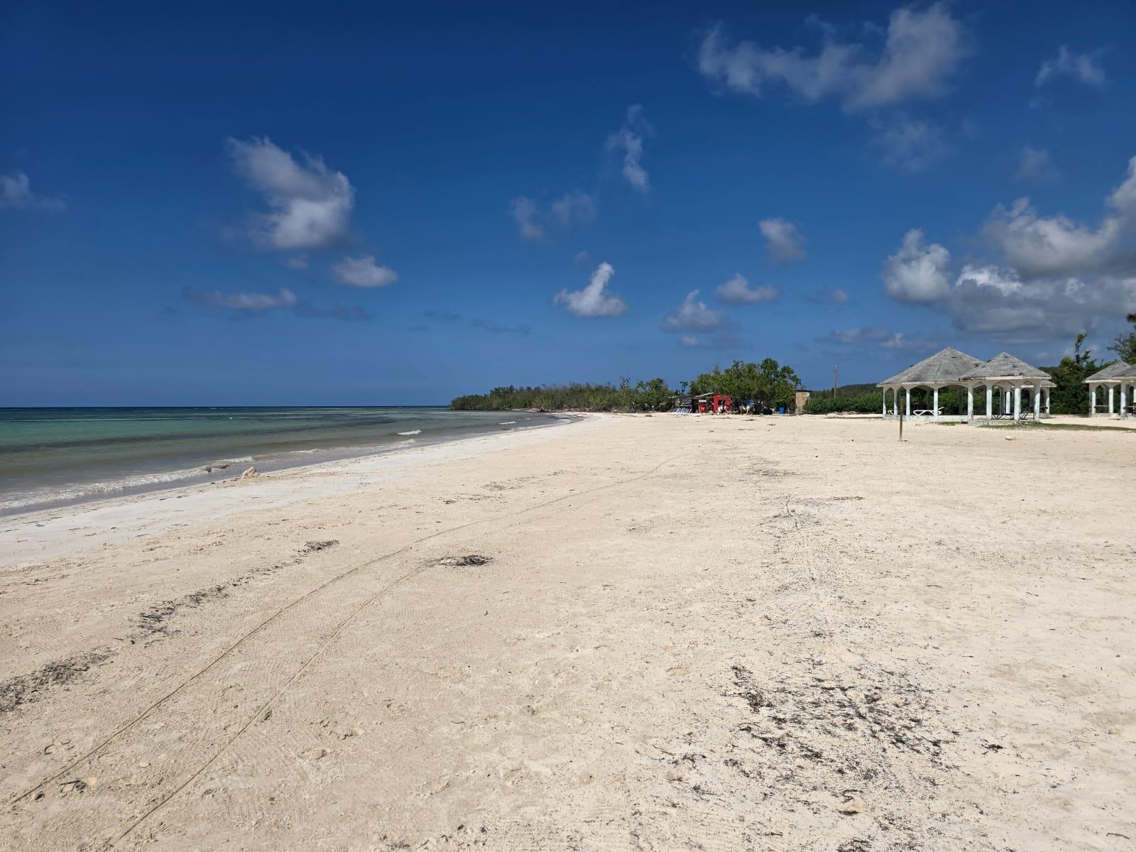Eleventh image of Lot 106- New Court in NEW COURT, Trelawny, Jamaica - property is For Sale