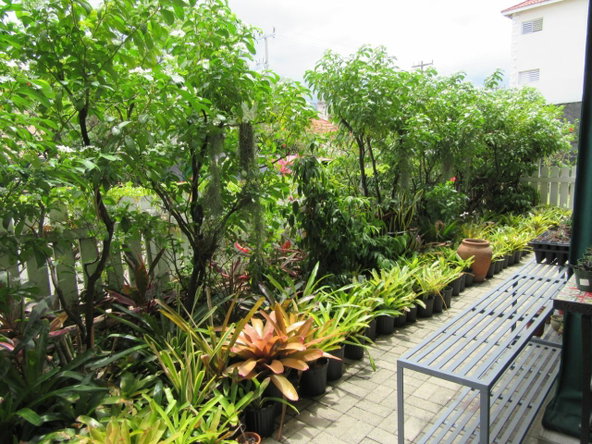 Twenty-Third image of 4-3b Waterloo Avenue, Kingston in Kingston 10, St. Andrew, Jamaica - property is For Sale