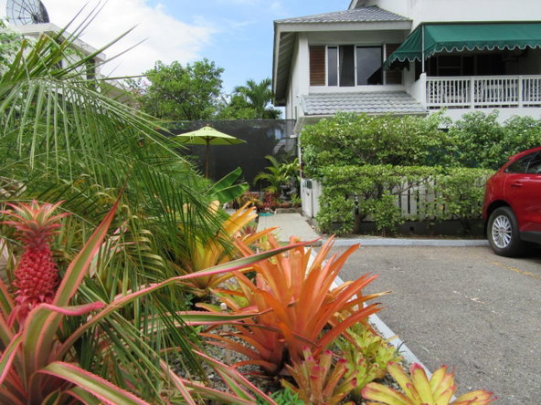 Twenty-Eighth image of 4-3b Waterloo Avenue, Kingston in Kingston 10, St. Andrew, Jamaica - property is For Sale