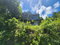 First image of Lot 34- Kildare in Buff Bay, Portland, Jamaica - property is For Sale