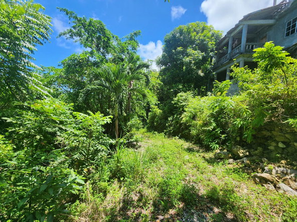Eleventh image of Lot 34- Kildare in Buff Bay, Portland, Jamaica - property is For Sale