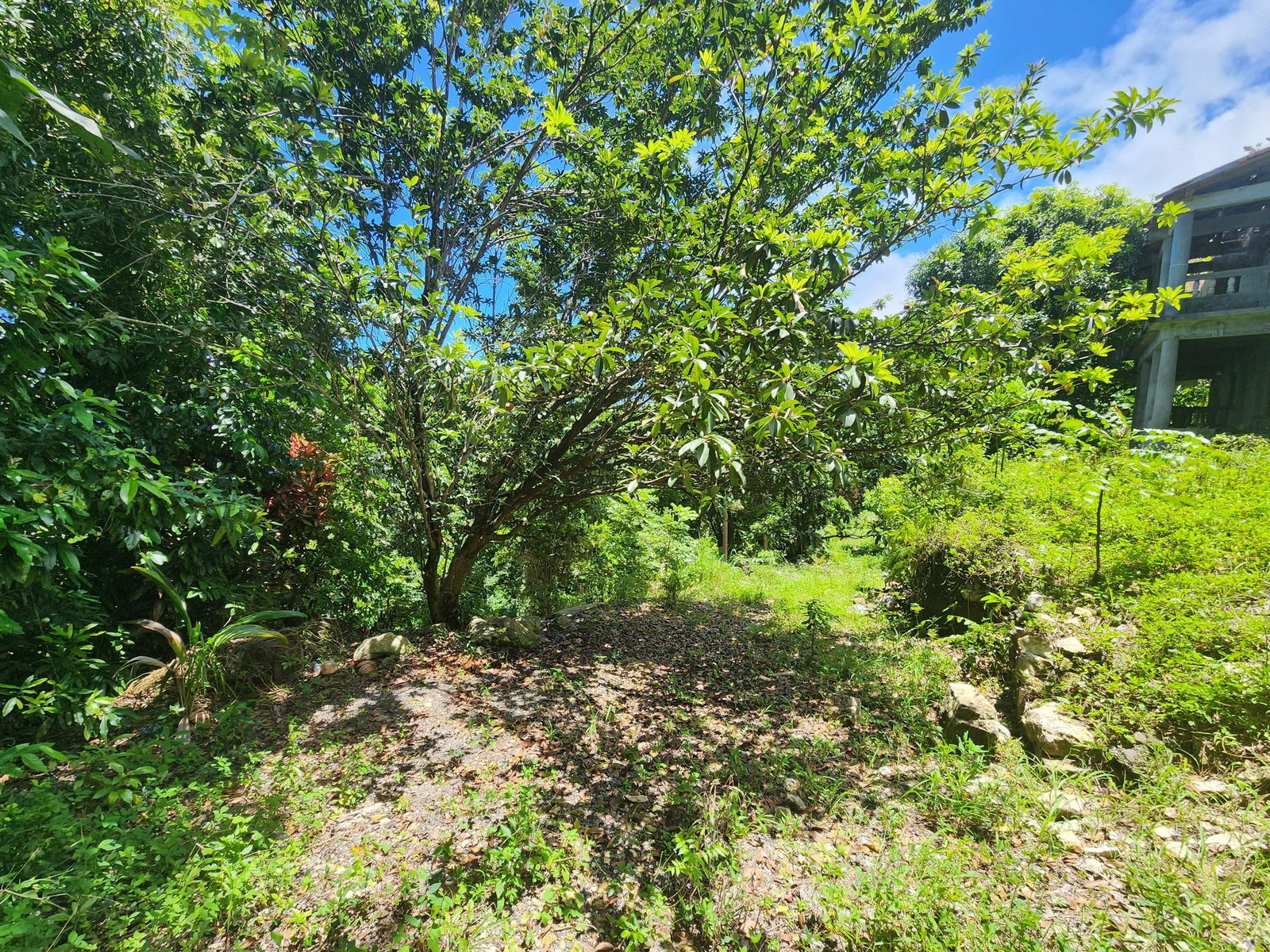 Thirteenth image of Lot 34- Kildare in Buff Bay, Portland, Jamaica - property is For Sale