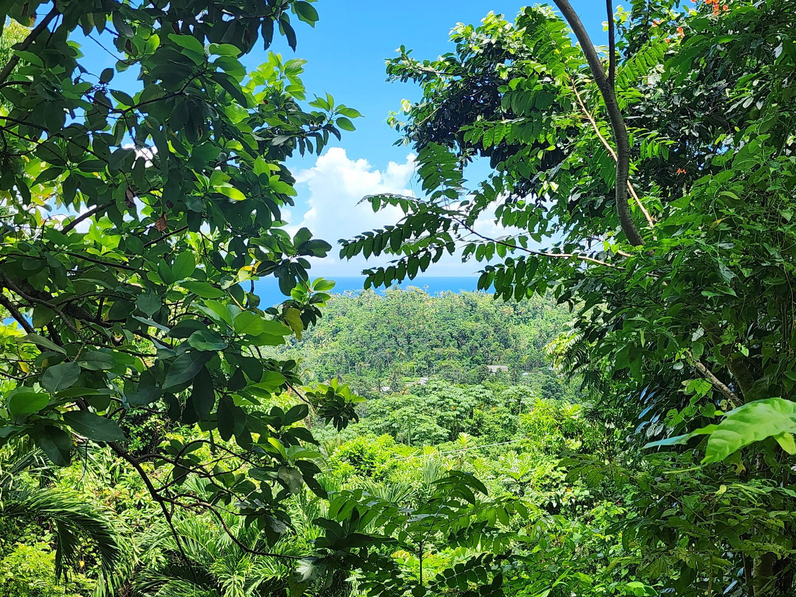 Seventeenth image of Lot 34- Kildare in Buff Bay, Portland, Jamaica - property is For Sale