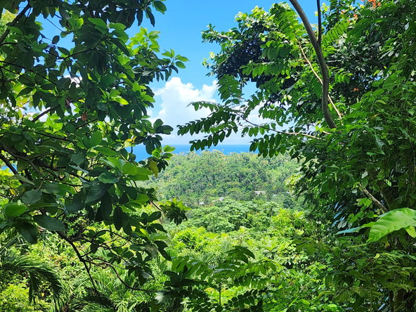 Seventeenth image of Lot 34- Kildare in Buff Bay, Portland, Jamaica - property is For Sale