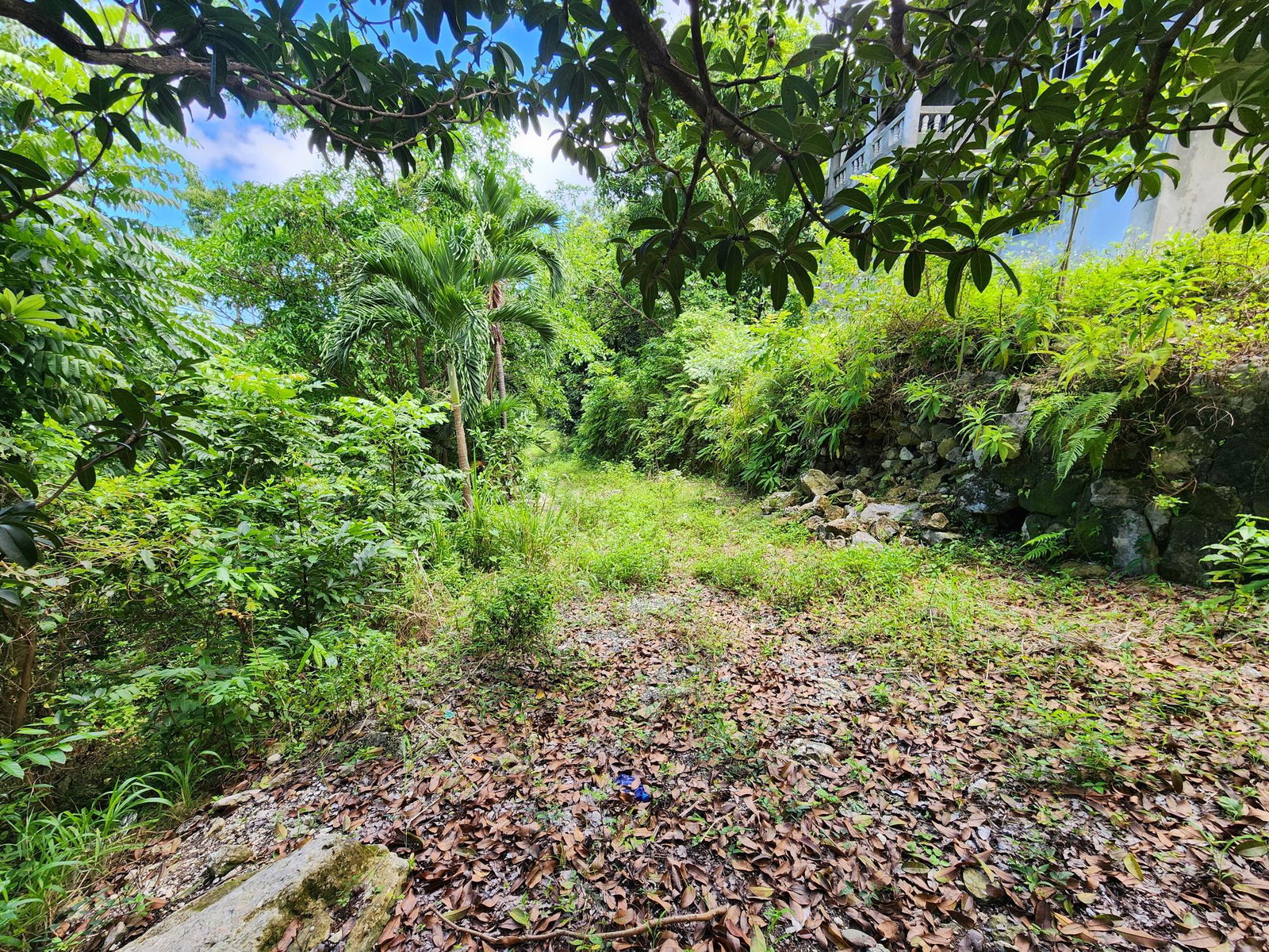 Twentieth image of Lot 34- Kildare in Buff Bay, Portland, Jamaica - property is For Sale