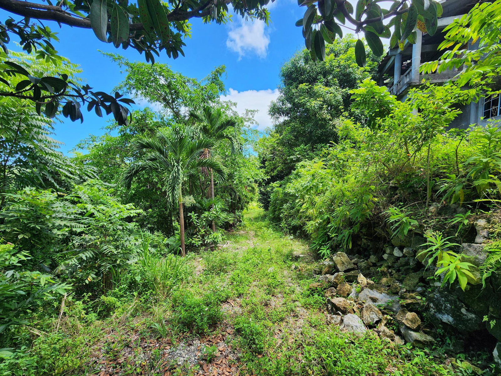 Twenty-First image of Lot 34- Kildare in Buff Bay, Portland, Jamaica - property is For Sale