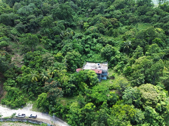 Twenty-Fifth image of Lot 34- Kildare in Buff Bay, Portland, Jamaica - property is For Sale