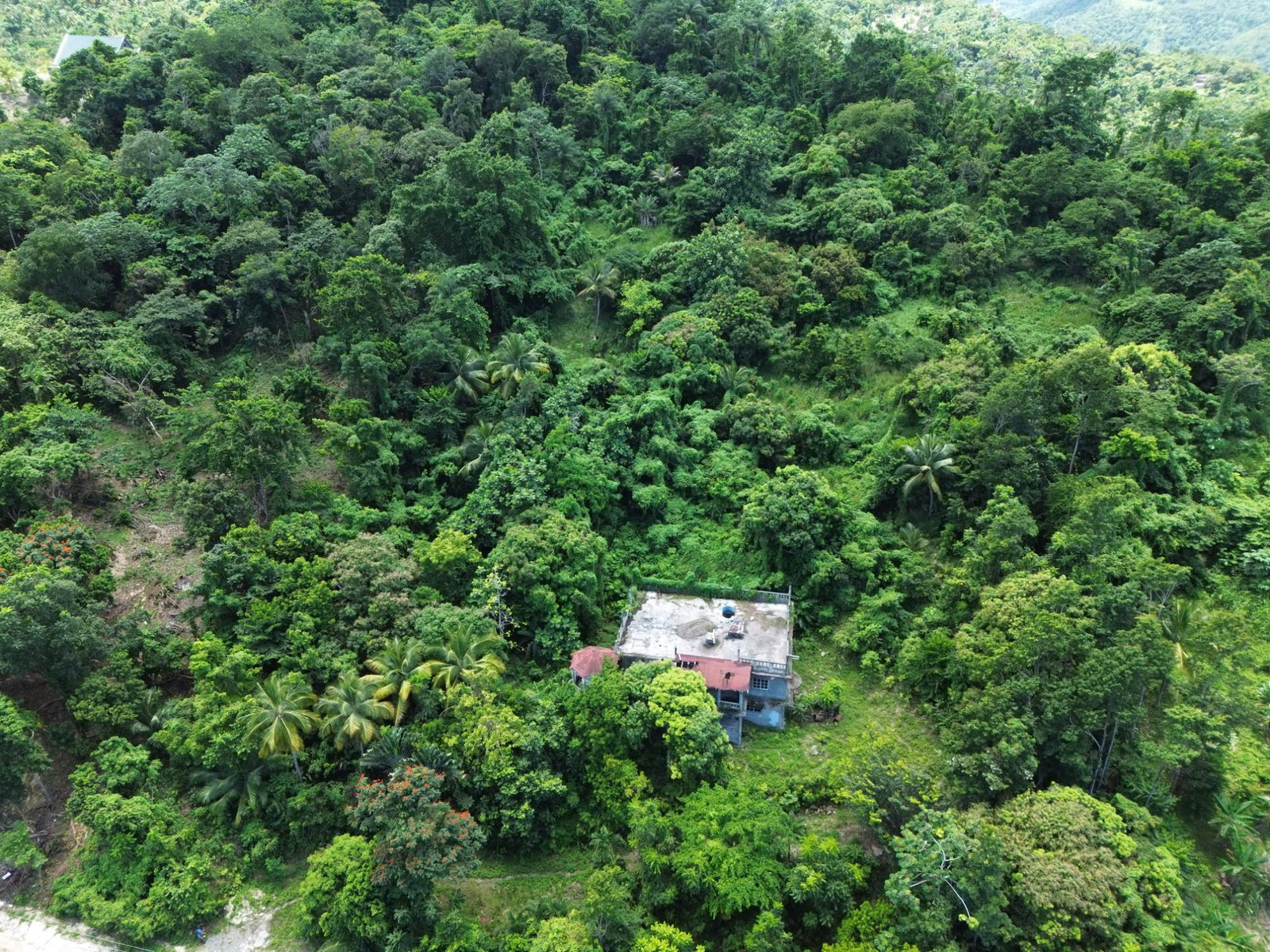 Twenty-Sixth image of Lot 34- Kildare in Buff Bay, Portland, Jamaica - property is For Sale