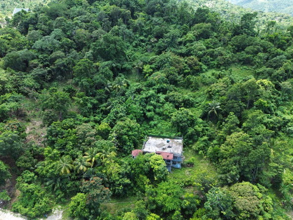 Twenty-Sixth image of Lot 34- Kildare in Buff Bay, Portland, Jamaica - property is For Sale