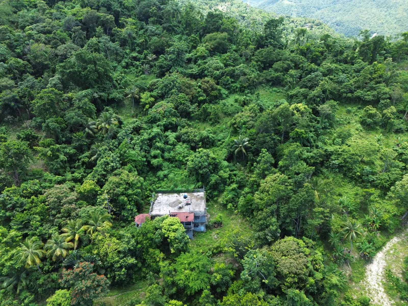 Twenty-Seventh image of Lot 34- Kildare in Buff Bay, Portland, Jamaica - property is For Sale