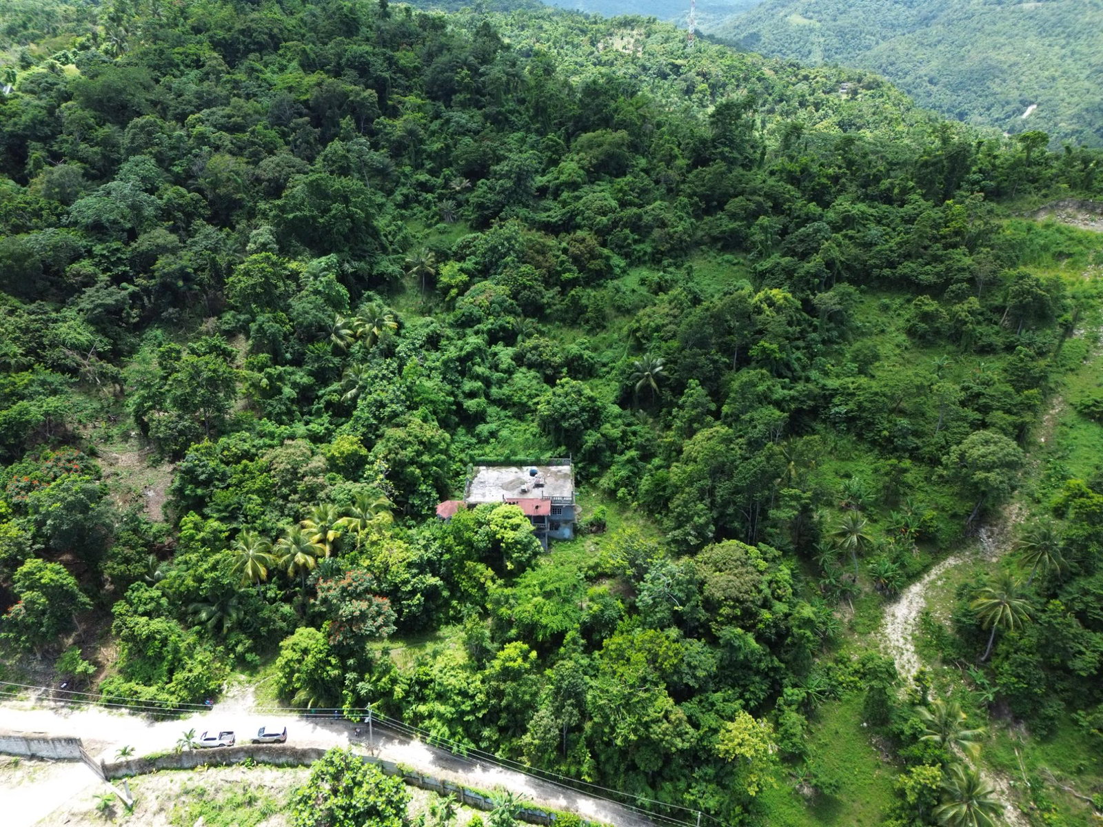 Twenty-Eighth image of Lot 34- Kildare in Buff Bay, Portland, Jamaica - property is For Sale