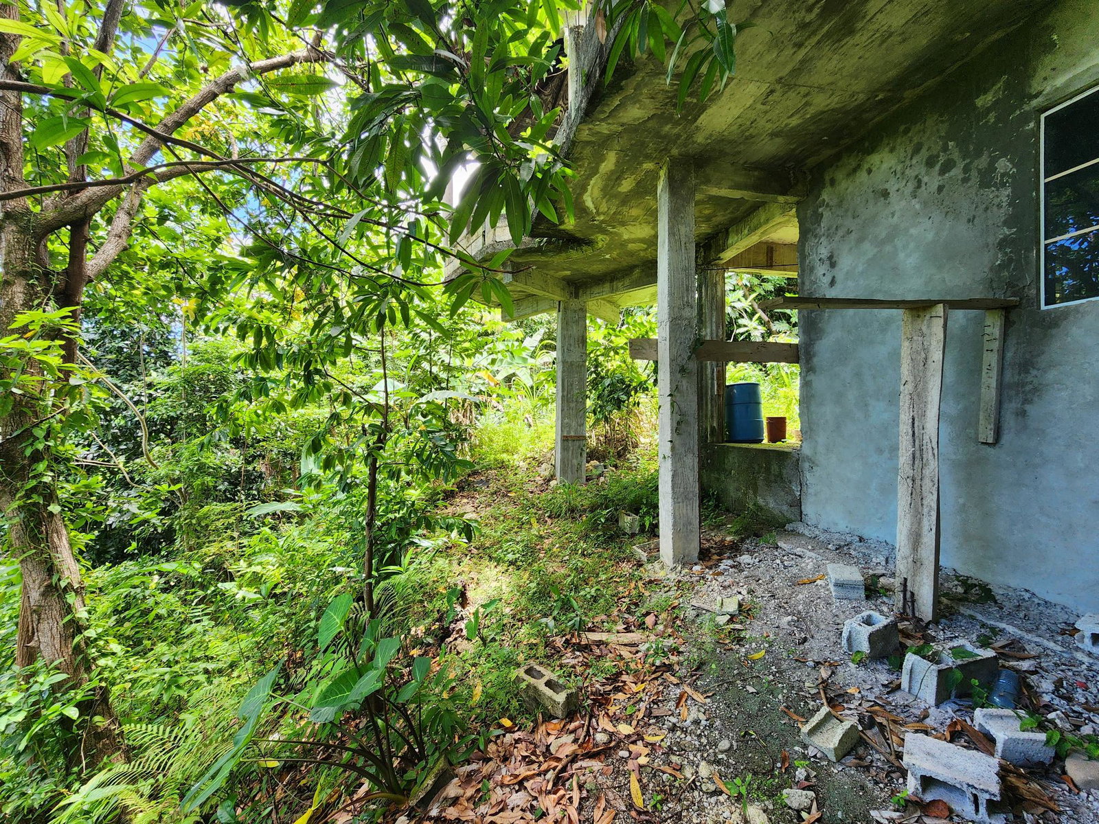 Sixth image of Lot 34- Kildare in Buff Bay, Portland, Jamaica - property is For Sale