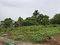 First image of 76- Weston Park in May Pen, Clarendon, Jamaica - property is For Sale