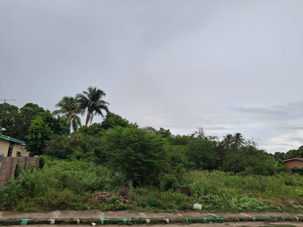 Second image of 76- Weston Park in May Pen, Clarendon, Jamaica - property is For Sale