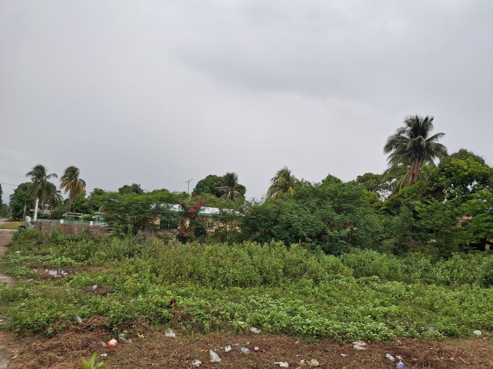 Eighth image of 76- Weston Park in May Pen, Clarendon, Jamaica - property is For Sale