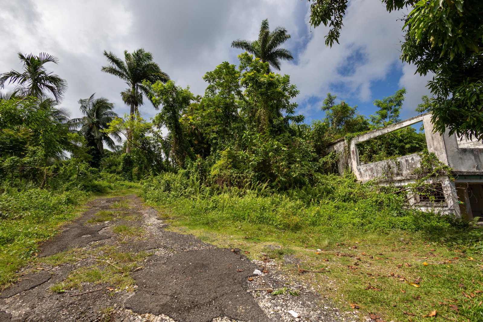 Twelfth image of Bonnie View Port Antonio in Port Antonio, Portland, Jamaica - property is For Sale