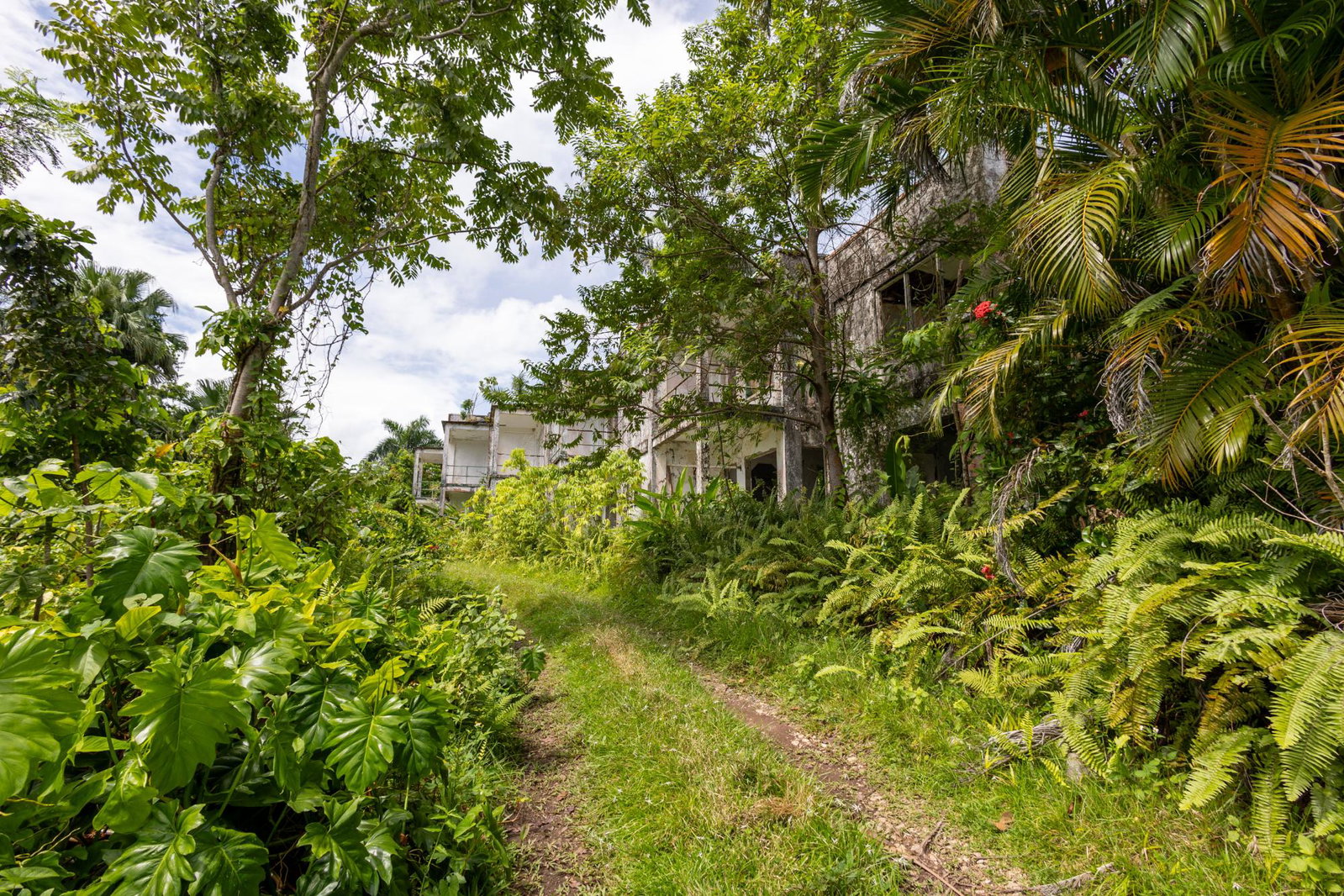 Fifteenth image of Bonnie View Port Antonio in Port Antonio, Portland, Jamaica - property is For Sale