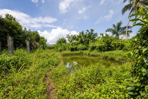 Seventeenth image of Bonnie View Port Antonio in Port Antonio, Portland, Jamaica - property is For Sale