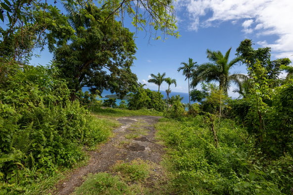 Fifth image of Bonnie View Port Antonio in Port Antonio, Portland, Jamaica - property is For Sale