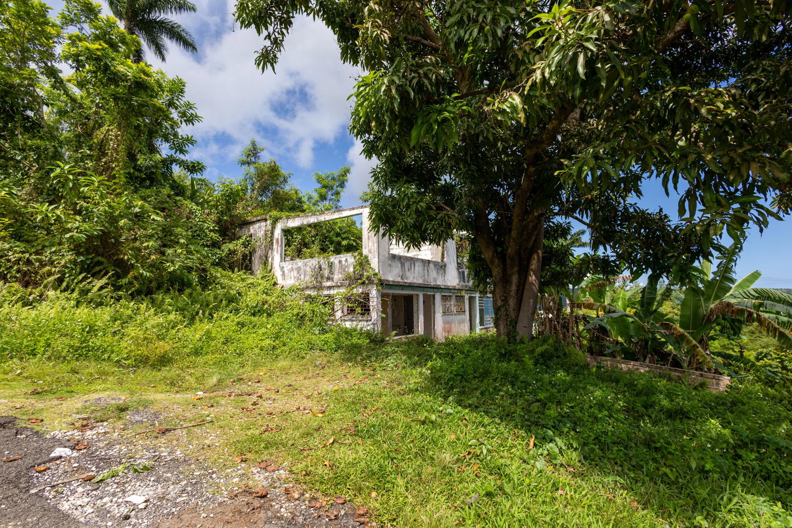 Eighth image of Bonnie View Port Antonio in Port Antonio, Portland, Jamaica - property is For Sale