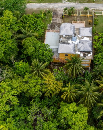 Sixteenth image of 15 Sevens Estate , Clarendo in Sevens, Clarendon, Jamaica - property is For Sale