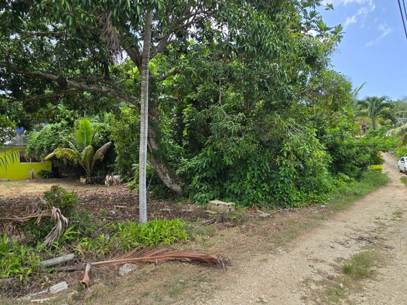 Fifth image of Lot 52- Irwin, St. James in Irwin, St. James, Jamaica - property is For Sale