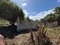 First image of Lot#129 Raymond Close, Cromarty in Spanish Town, St. Catherine, Jamaica - property is For Sale
