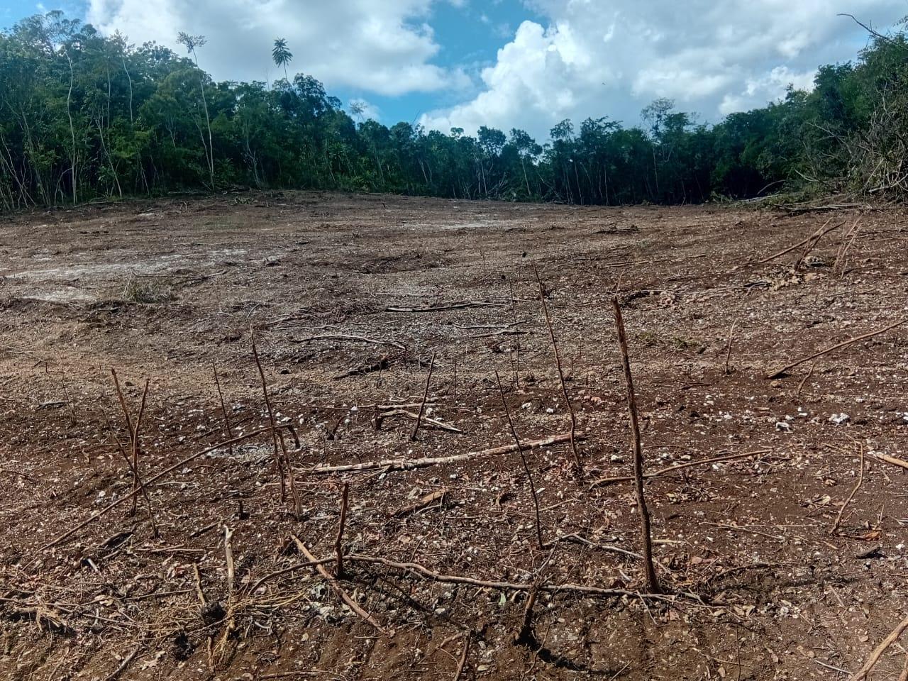 Third image of Luana, Black River Po, st in Black River, St. Elizabeth, Jamaica - property is For Sale
