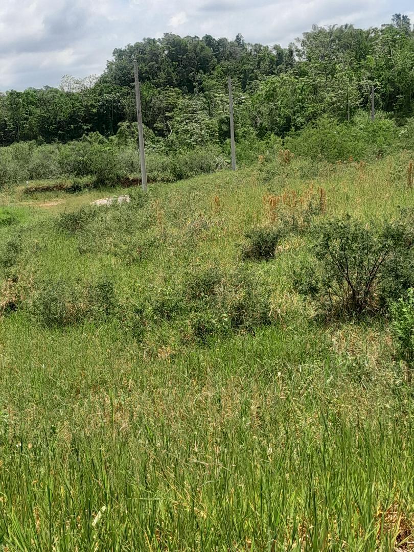 Seventh image of 434 Moorelands Manor, Phase 3 in Moorlands Phase 3, Manchester, Jamaica - property is For Sale