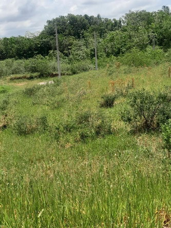 Seventh image of 434 Moorelands Manor, Phase 3 in Moorlands Phase 3, Manchester, Jamaica - property is For Sale