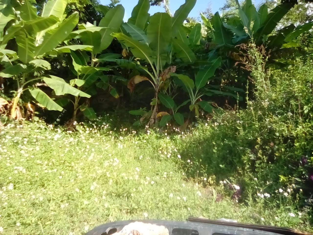 Tenth image of 1- Top Hill Road in Runaway Bay, St. Ann, Jamaica - property is For Sale
