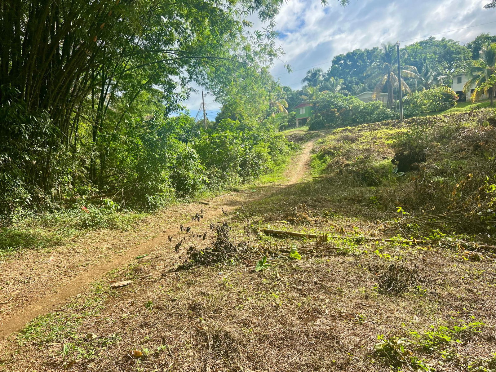 First image of 2 Springfield District in Springfield, Westmoreland, Jamaica - property is For Sale