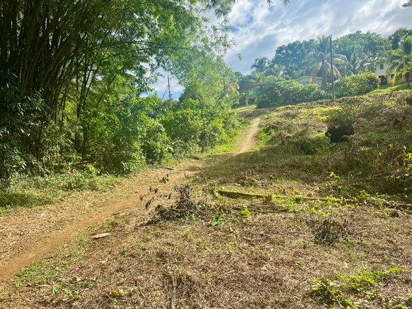 First image of 2 Springfield District in Springfield, Westmoreland, Jamaica - property is For Sale