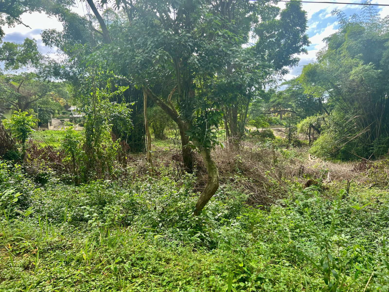 Third image of 2 Springfield District in Springfield, Westmoreland, Jamaica - property is For Sale
