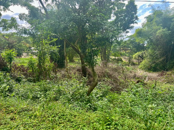 Third image of 2 Springfield District in Springfield, Westmoreland, Jamaica - property is For Sale