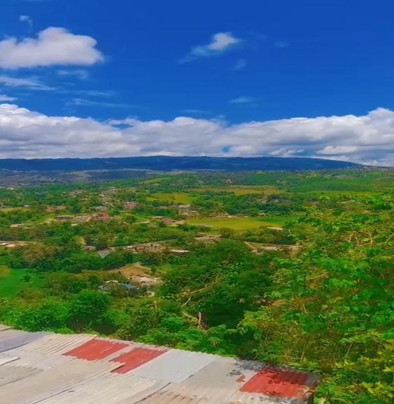 Eighth image of Part of Heartease, Manche in Heartease, Manchester, Jamaica - property is For Sale