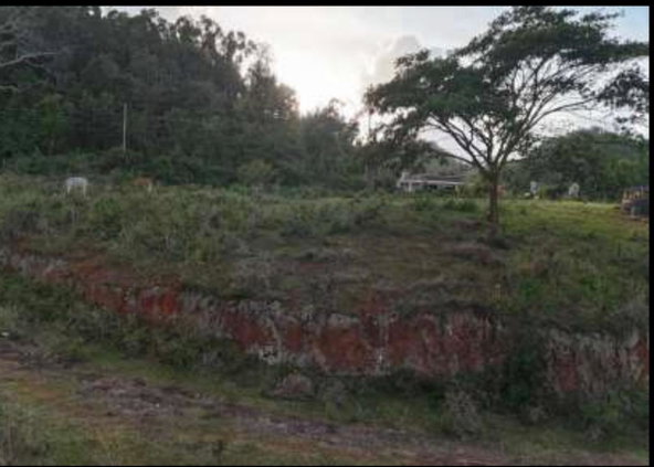 Third image of Dawkins Road, Mocho in Four Paths, Clarendon, Jamaica - property is For Sale