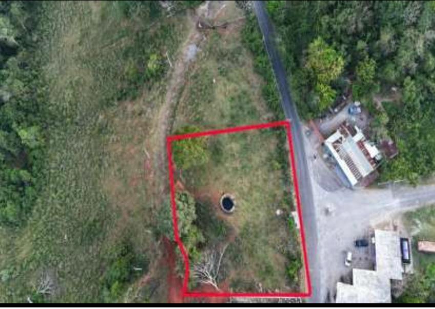 Fourth image of Dawkins Road, Mocho in Four Paths, Clarendon, Jamaica - property is For Sale