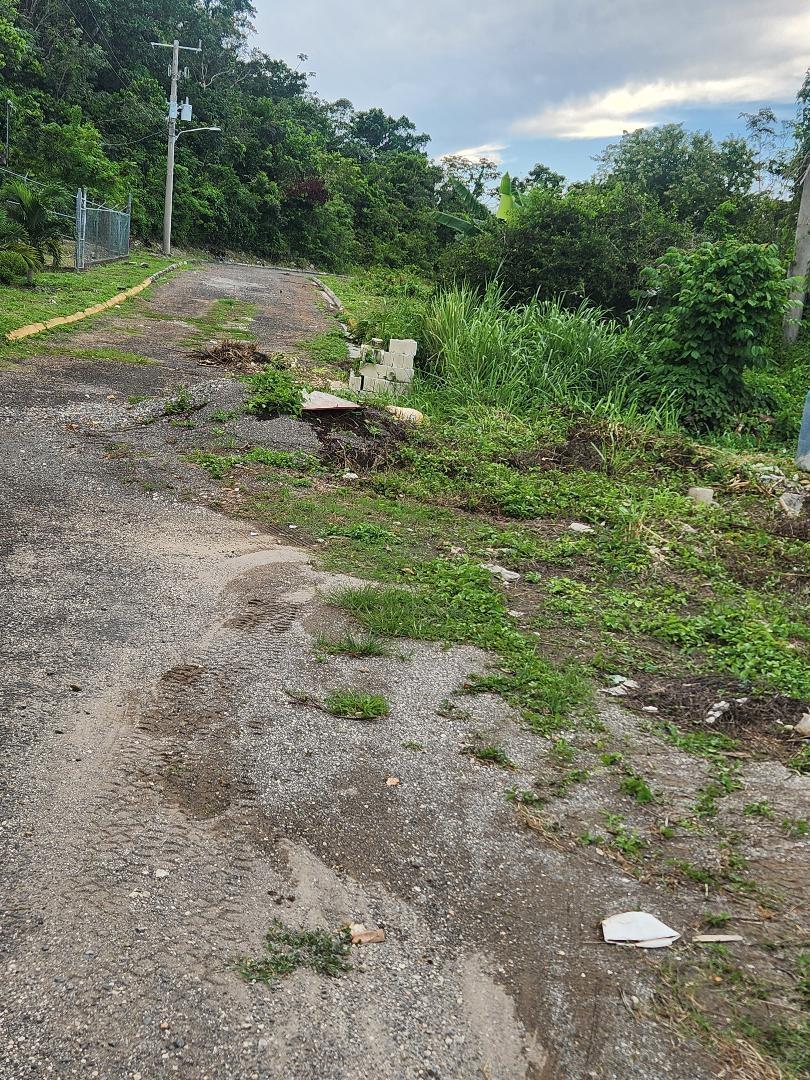 Eighth image of 180 Hills of Boscobel, Boscob in Boscobel Heights, St. Mary, Jamaica - property is For Sale