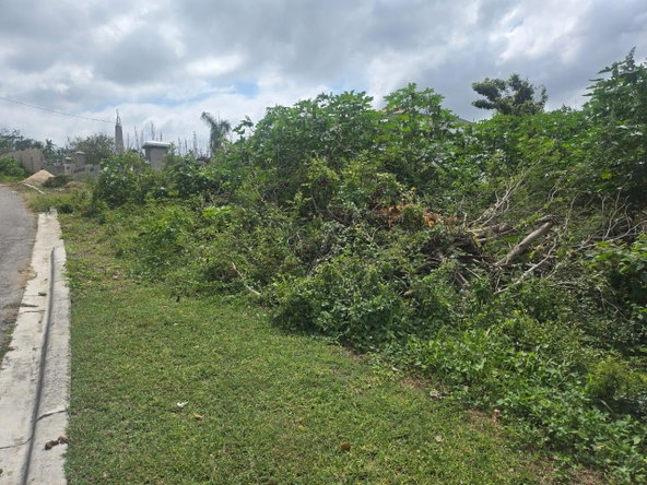 Eleventh image of 457- Torado Heights, St. James in Montego Bay, St. James, Jamaica - property is For Sale