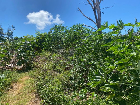 Fourth image of 457- Torado Heights, St. James in Montego Bay, St. James, Jamaica - property is For Sale
