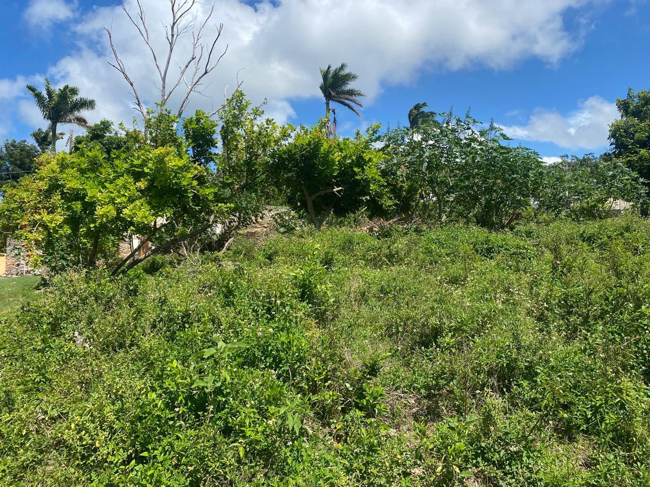 Fifth image of 457- Torado Heights, St. James in Montego Bay, St. James, Jamaica - property is For Sale