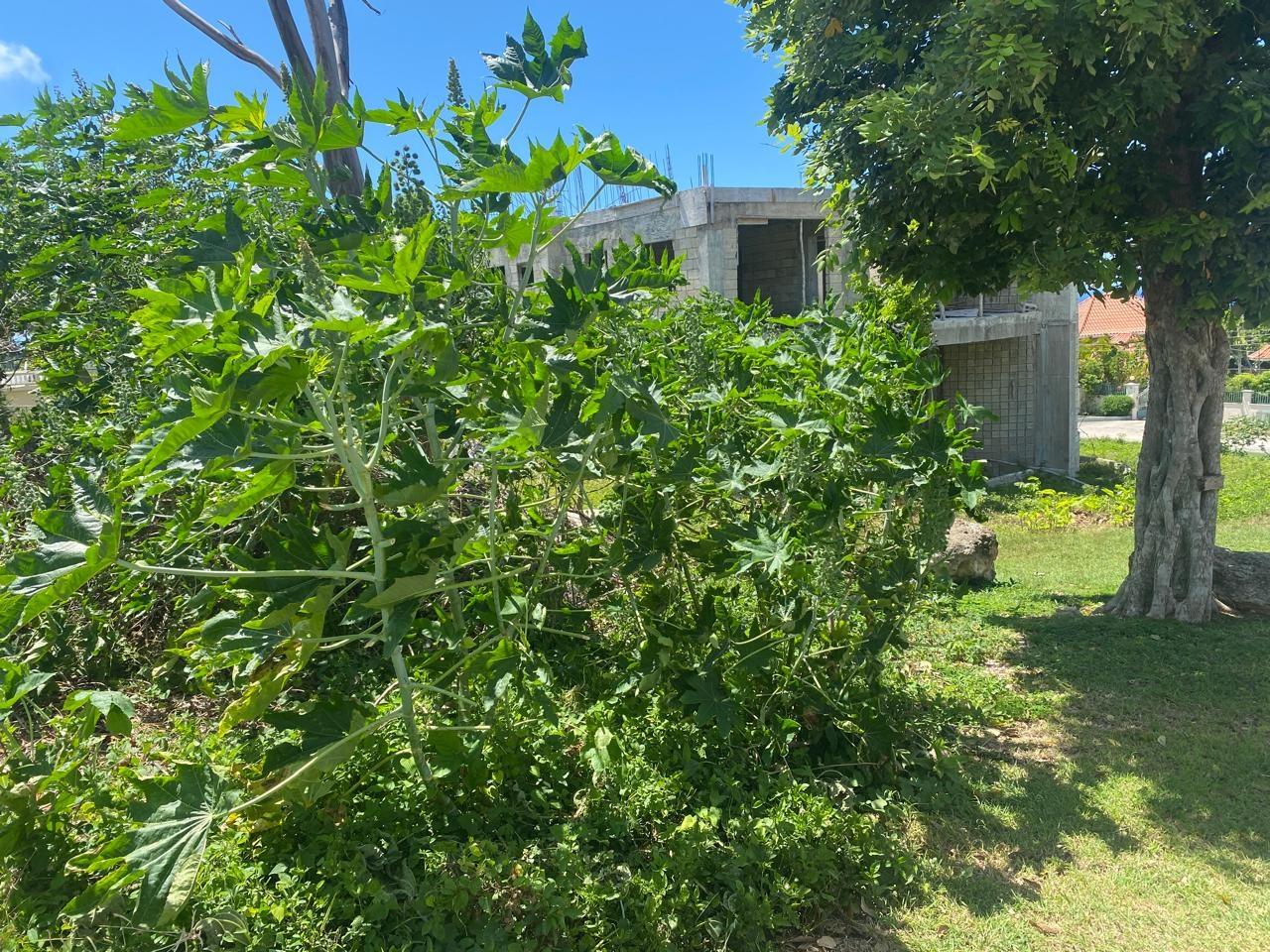 Sixth image of 457- Torado Heights, St. James in Montego Bay, St. James, Jamaica - property is For Sale