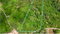 First image of Happy Grove in Red Hills, St. Andrew, Jamaica - property is For Rent