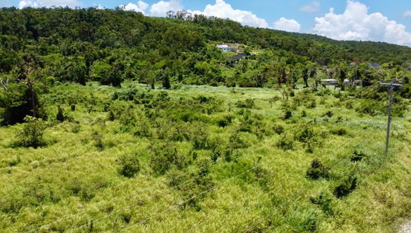 Twenty-Eighth image of 223 Duncan Bay, Calypso Close in DUNCAN BAY, Trelawny, Jamaica - property is For Sale